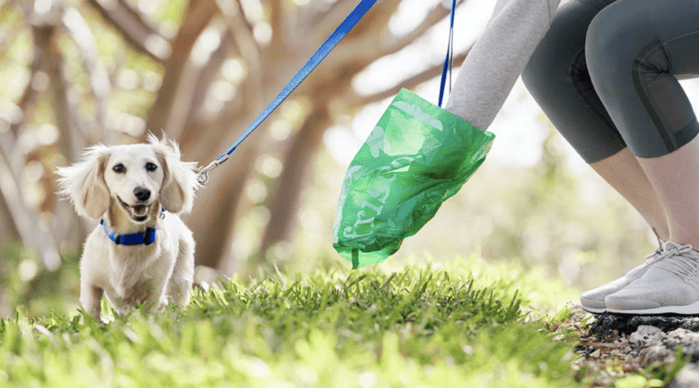 Destin FL Poop Removal